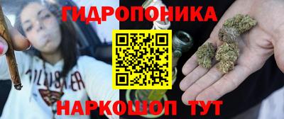 стаф Владивосток