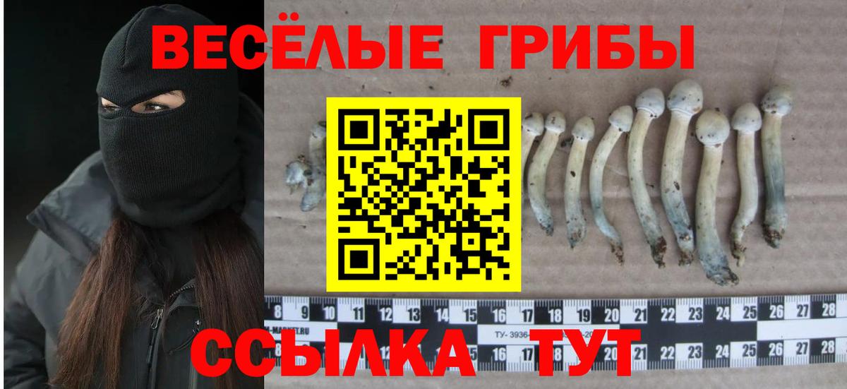 Галлюциногенные грибы мицелий  Вход с VPN  Трёхгорный 